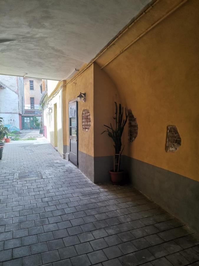 Apartment Garsoniera Vivere *